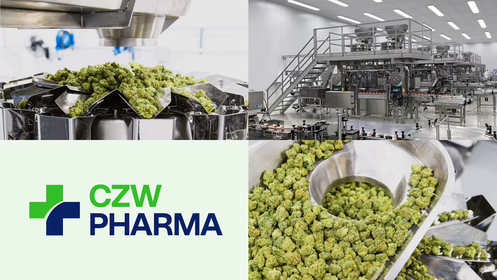 czwpharma